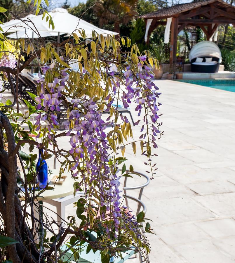 Le Mas Shabanou Bed & Breakfast Roquefort-les-Pins Exterior photo
